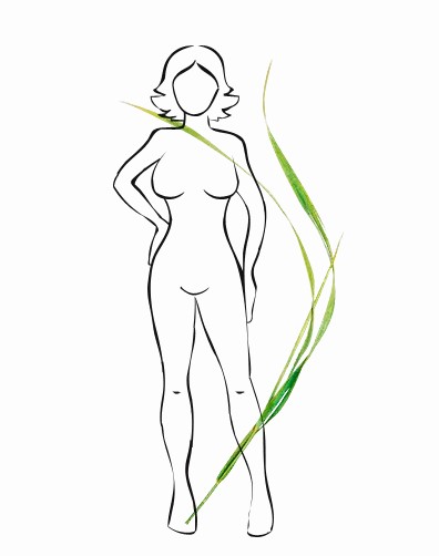 dietflat5.jpg dietflat5.jpg